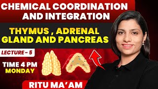 Thymus  Adrenal Gland and Lecture 5  Chemical Coordination and Integration Ritu Rattewal [upl. by Onig628]