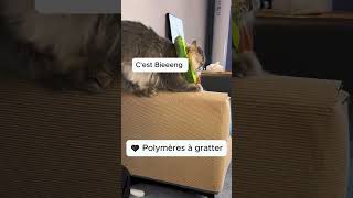 La solution ultime contre les griffures de chat sur vos meubles [upl. by Atteuqahs]