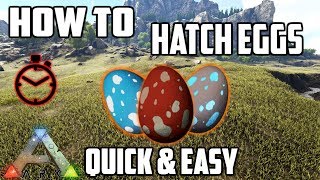 How to Hatch Eggs  2 Ways  Quick amp Easy  Ark Survival Evolved [upl. by Herta]