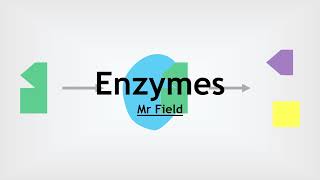 GCSE Biology 05  Enzymes [upl. by Balbinder86]