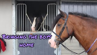 BRINGING MY HORSES HOME  Moving Vlog part two [upl. by Lynett]