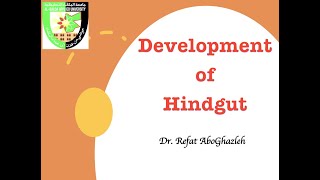 Development of Hindgut [upl. by Kevin]