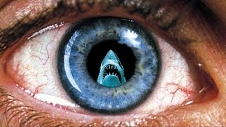 Jaws but with the Requiem for a Dream soundtrack [upl. by Norvell64]