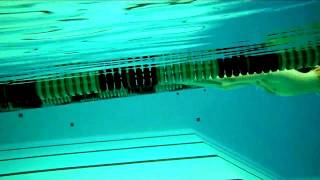 032310 Backstroke 2stop drill amp Fly kick [upl. by O'Grady]