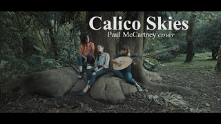 Calico Skies  Paul McCartney cover [upl. by Kokoruda]