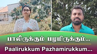 QUARANTINE FROM REALITY  PAALIRUKKUM PAZHAMIRUKKUM  PAAVA MANNIPPU  Episode 532 [upl. by Ssilb]