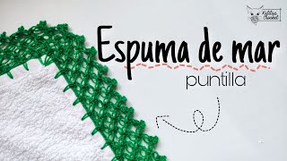 FÁCIL y RÁPIDA puntilla para toallas de mano 🧶  HERMOSA para emprender  Puntada Espuma de Mar [upl. by Hertzfeld]