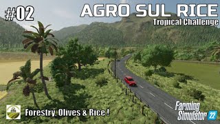 Forestry Olives amp Rice   02 AGRO SUL RICE  Brazil  FS22  PlayStation 5 [upl. by Aubyn]