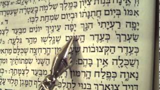 Song of Songs reading Hebrew Ashkenaz Rabbi Weisblum שיר השירים פסח נוסח אשכנז [upl. by Jsandye]