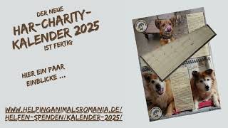 Guten Morgen und ein schönes Wochenende ❤️🐾 schon unseren neuen Kalender HAR 2025 bestellt 🛒🛍️😊 [upl. by Ynitsed]