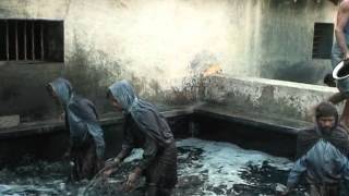 Indigo Dye Extraction [upl. by Mace]