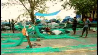 THE SASSOON DOCK FISH MARKET MUMBAI [upl. by Allegna114]