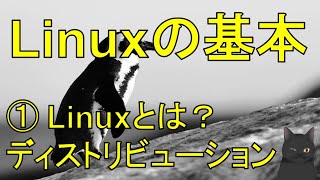 【丁寧に学ぶLinux入門】 ①Linuxとは？ ディストリビューション（Ubuntu RedHat CentOS Devian） [upl. by Etakyram]