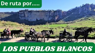 EXCURSION POR LOS PUEBLOS BLANCOS CON TRACCIÓN ANIMAL [upl. by Aztiley262]