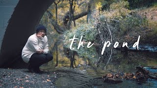 Rosendale  The Pond Lyric Video [upl. by Penny]