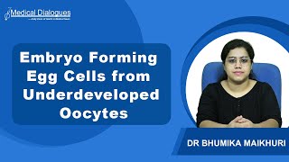 Researchers Produce Viable Embryo Forming Egg Cells from Underdeveloped Oocytes [upl. by Ingamar980]