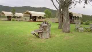 SPICERS CANOPY [upl. by Rashidi819]