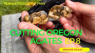 Cutting Oregon Agates EP8 [upl. by Darbee692]