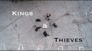 Kings and Thieves  Leverage Team fanvid [upl. by Ahsinuq]