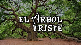 El Árbol Triste  Historias Positivas [upl. by Daggna]