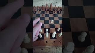 Georgian Opening Trap Ruin your opponents in chess [upl. by Arual657]