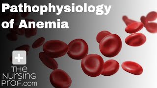 Pathophysiology of Anemia [upl. by Artep]