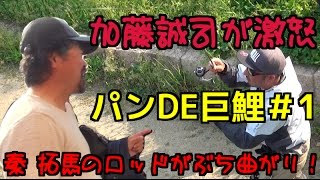 加藤誠司が激怒！パンDE巨鯉＃1 ダウザー俺達。秦 拓馬のロッドがぶち曲がり！ゴールデンウィーク釣行 [upl. by Kallista]