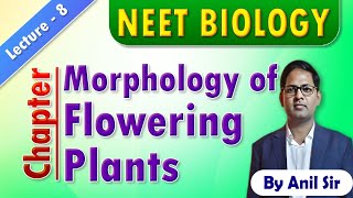 Morphology of flowering plants L8 neetbiology morphologyoffloweringplants [upl. by Zehcnas]