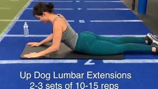 4 exercises to improve your lumbar Radiculopathy [upl. by Anicart888]