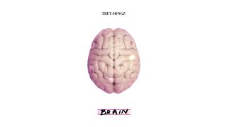 Trey Songz  Brain Official Audio [upl. by Kjersti]