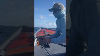 Thazard Géant au JIG  Taille Record  caraïbes fishing exo fish KingMackerel [upl. by Naman65]