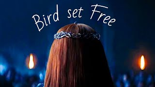 Sansa Stark  Bird set free [upl. by Danziger]