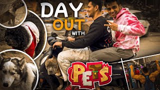 quotDay out with PETS 😍 Enjoy with Unique DOG Breeds in Delhi 🔥quot Reupload [upl. by Dygert]