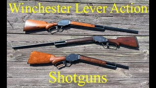 Winchester Lever Action Shotguns 1887 1901 in 12 Gauge and 10 Guage [upl. by Nhguavaj36]