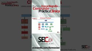 Curso de Ecocardiografía de Contraste para mi Práctica Clínica [upl. by Eelesor552]