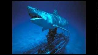 jaws theme song sharkswmv [upl. by Eixela]