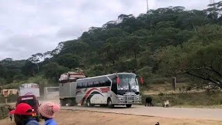 Timboon coaches from south Africa to Zimbabwe Harare [upl. by Bergeman349]