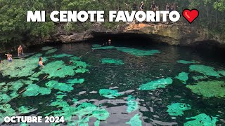 Playa Del Carmen Hoy🔴Cenote Azul Octubre 2024 [upl. by Notlim]