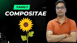 Compositae Family [upl. by Aihsat]