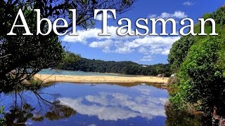 뉴질랜드 트레킹 아벨타즈만 트랙 Abel Tasman New Zealand [upl. by Wira5]