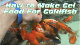 How to Prepare Repashy Gel Food for Goldfish [upl. by Cleo832]