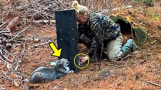 Woman Rescued a Trapped Bobcat Years Later It Did The Unthinkable [upl. by Anawat]