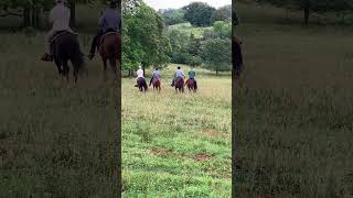 Heading Out Down The Back Pasture [upl. by Esinek983]