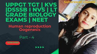 Oogenesis  Gametogenesis Human reproduction  Uppgttgtbiology  KVSpgt DSSSB NEET NVS Biology [upl. by Nolyad]