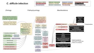 Understanding Clostridium Difficile Infection C Diff [upl. by Leschen]