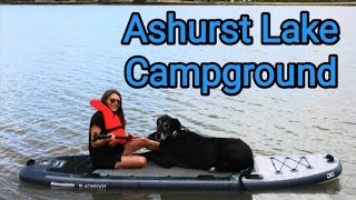 Ashurst Lake Campground amp Adjacent BoondockingGreat Dane Learns to Dogpaddle amp Paddleboard [upl. by Brynne618]