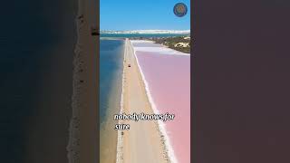 Amazing Pink waters of Lake Hillier Australia [upl. by Baron]