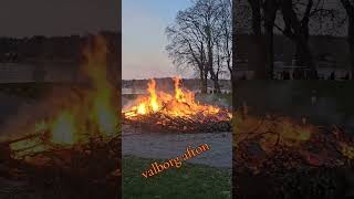 Valborg 😍 subscribe sweden valborg like 2024 [upl. by Valery]