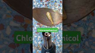 Chloramphenicol vs Hot Spoon experiment short video shorts satisfyingexperiment asmr [upl. by Linzy942]