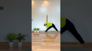 Vinyasa Flow shorts yoga vinyasayoga vinyasaflow [upl. by Anhej481]